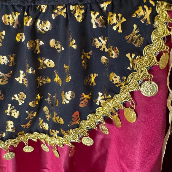 Pirate Beauty Halloween Costume Dress with Skulls and Jingly Coins Size XL - Picture 5 of 7